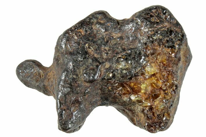 Sericho Pallasite Meteorite ( g) Metal Skeleton #267370